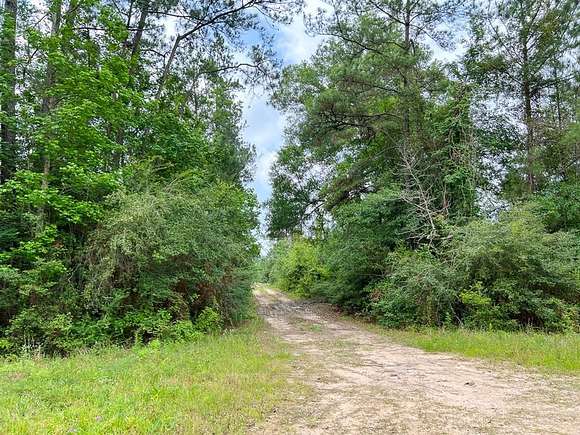 14.5 Acres of Land for Sale in Silsbee, Texas