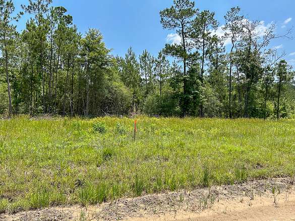 30 Acres of Recreational Land & Farm for Sale in Lufkin, Texas