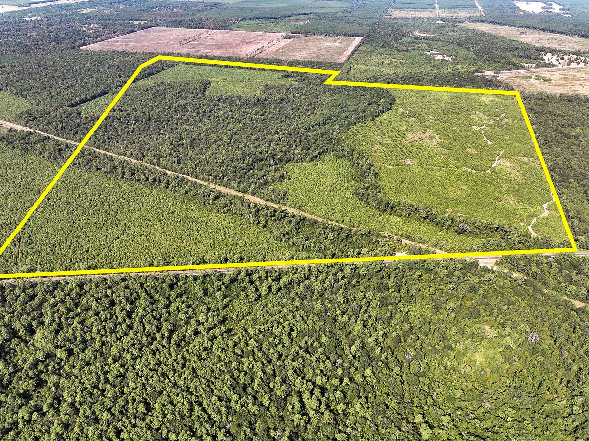 640 Acres of Recreational Land & Farm for Sale in Dayton, Texas