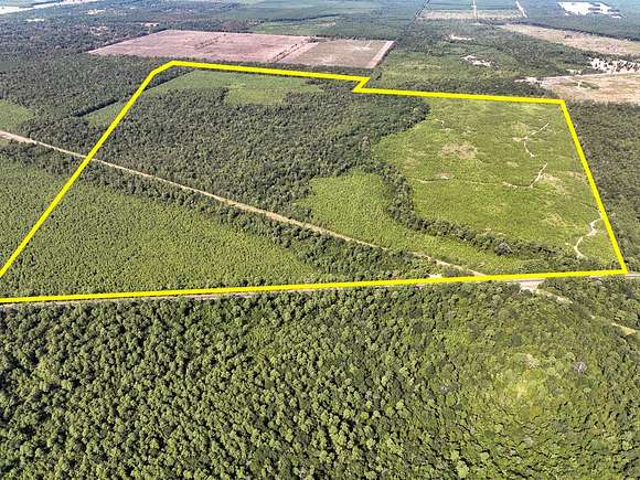 640 Acres of Recreational Land for Sale in Dayton, Texas