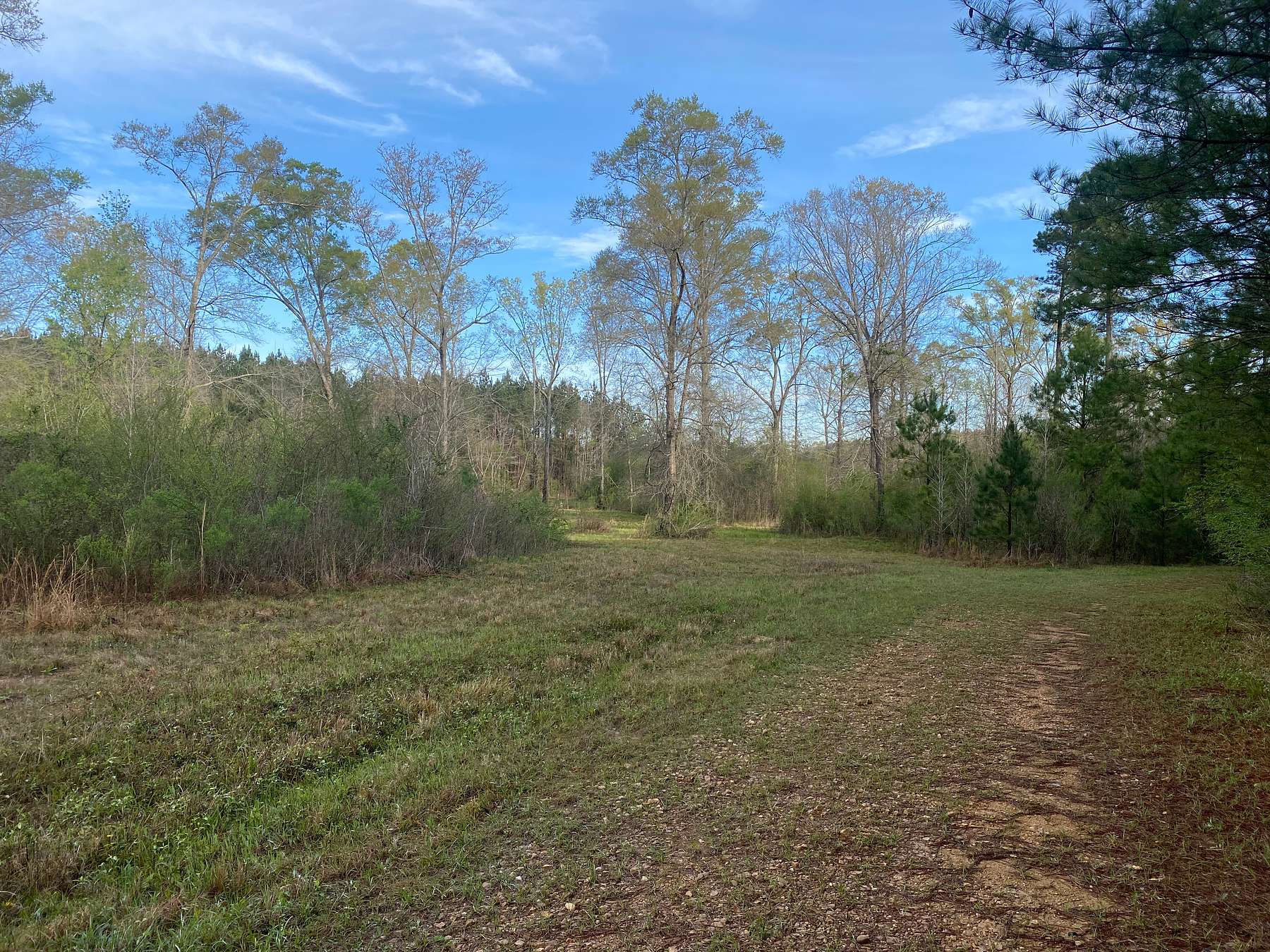83 Acres of Recreational Land & Farm for Sale in Pearl, Mississippi