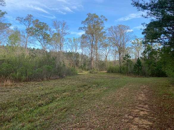 83 Acres of Recreational Land & Farm for Sale in Pearl, Mississippi
