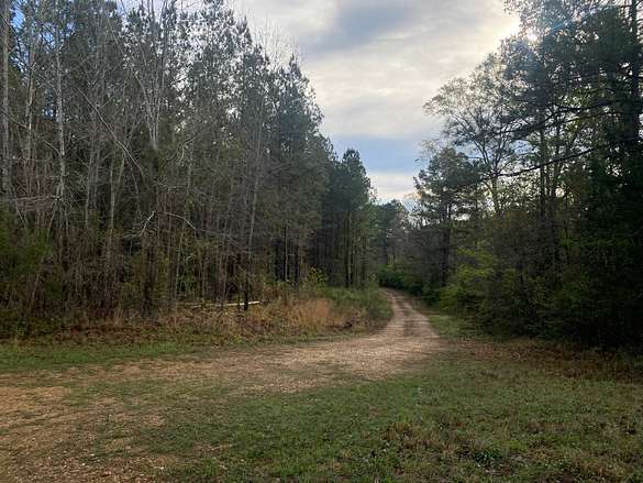 179 Acres of Recreational Land & Farm for Sale in Pearl, Mississippi