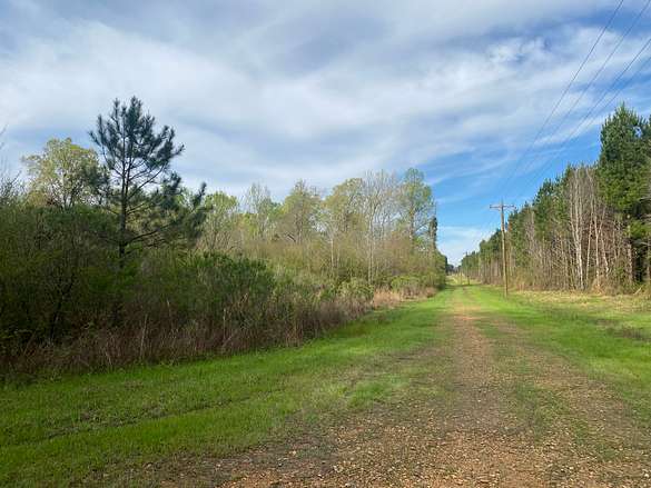 123 Acres of Recreational Land & Farm for Sale in Pearl, Mississippi