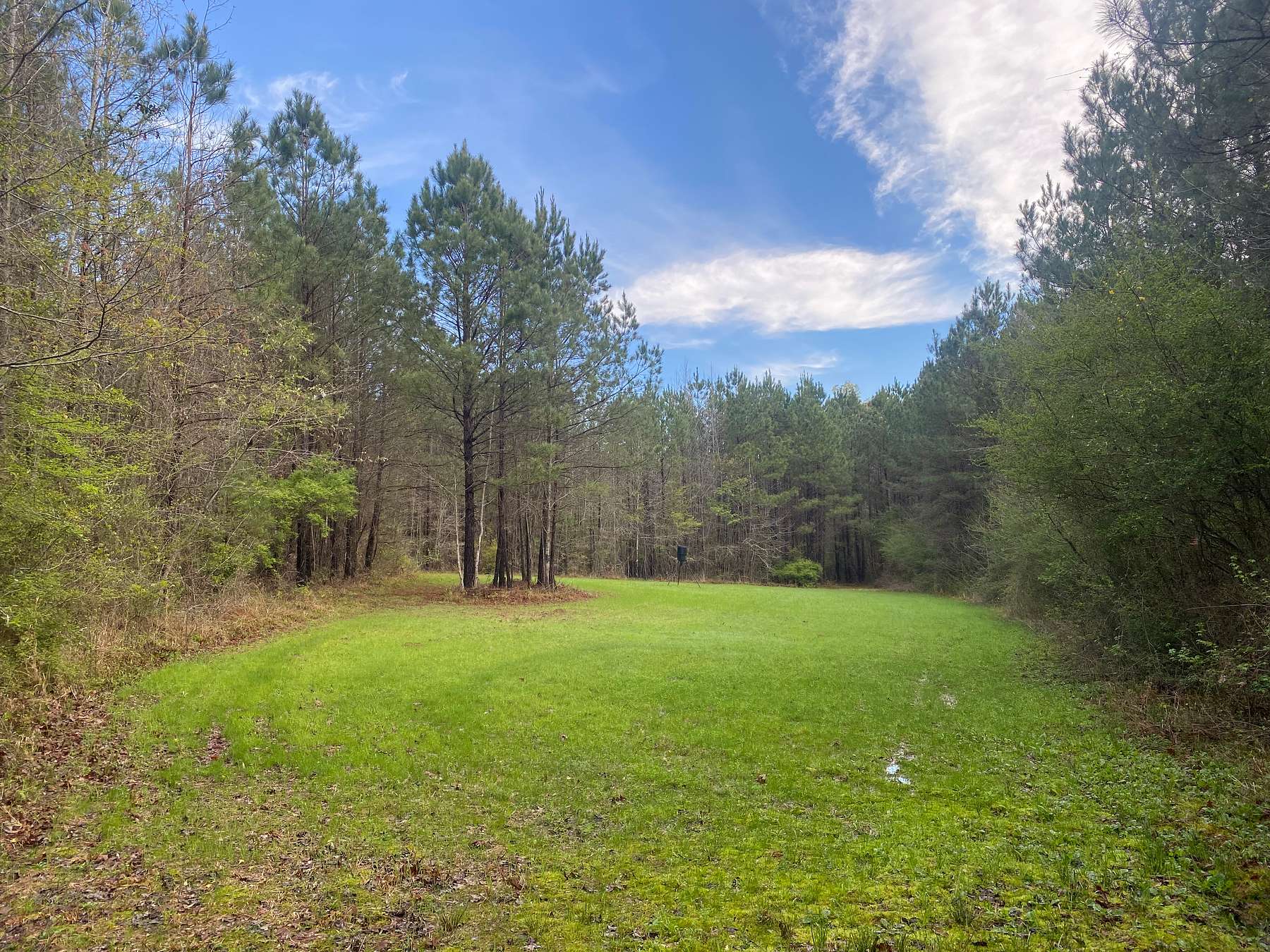 111 Acres of Recreational Land & Farm for Sale in Pearl, Mississippi
