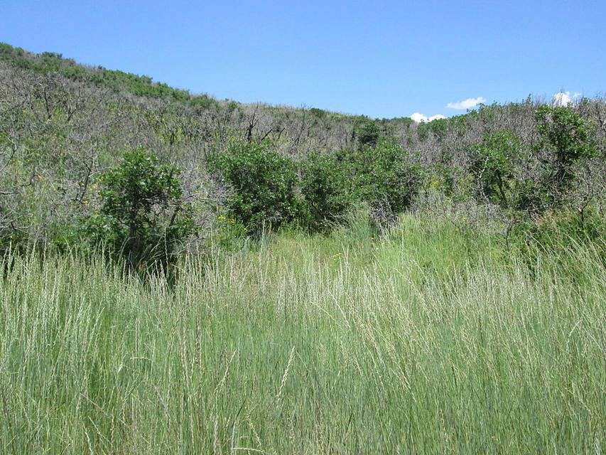 35 Acres of Recreational Land for Sale in La Veta, Colorado