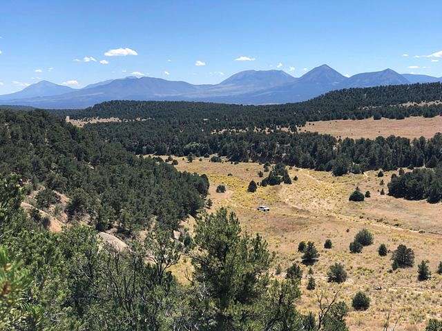 31 Acres of Recreational Land for Sale in Gardner, Colorado
