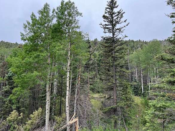 35.6 Acres of Recreational Land for Sale in Aguilar, Colorado