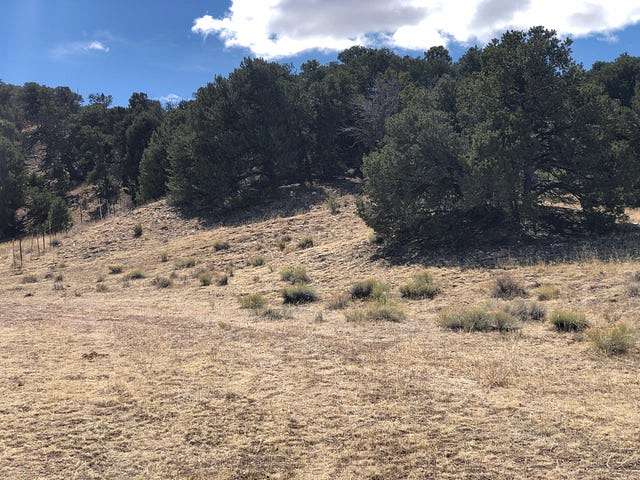 45 Acres of Recreational Land for Sale in Gardner, Colorado