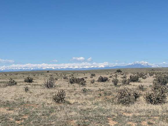 40 Acres of Recreational Land for Sale in Model, Colorado