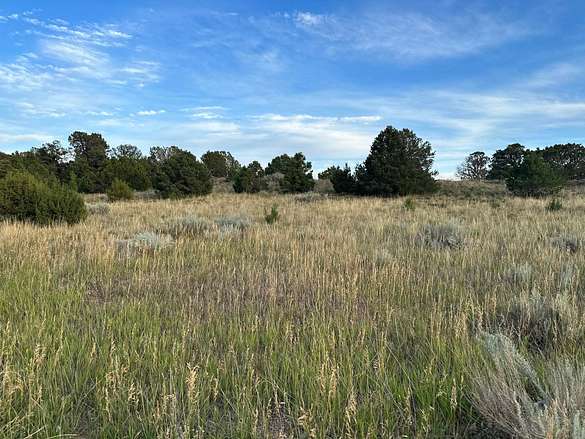 3.53 Acres of Recreational Land & Farm for Sale in Walsenburg, Colorado