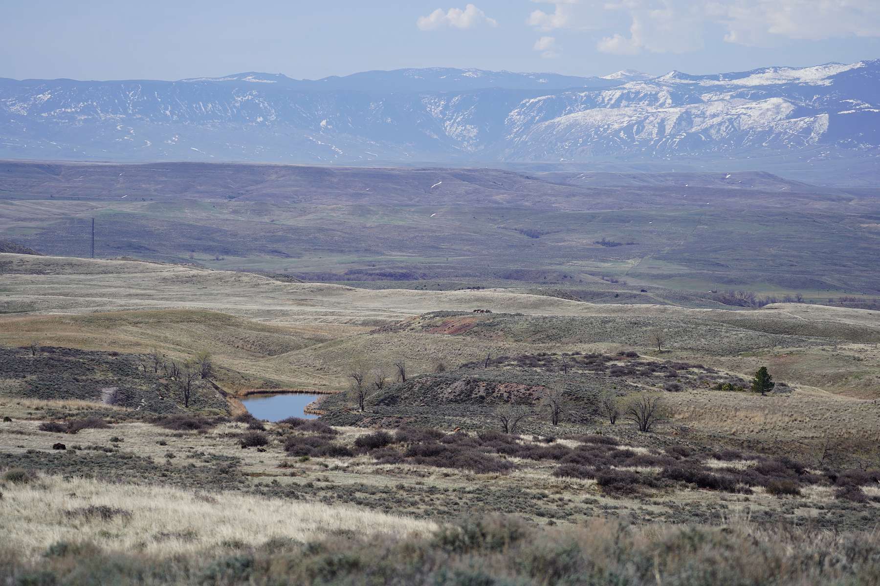 640 Acres of Recreational Land for Sale in Ranchester, Wyoming