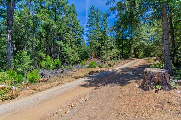 18.1 Acres of Recreational Land for Sale in Volcano, California