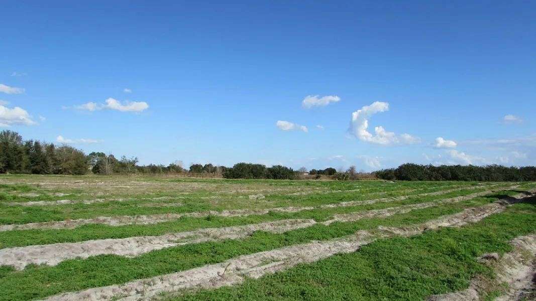 200 Acres of Land for Sale in Lake Wales, Florida