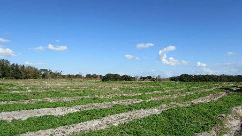 200 Acres of Land for Sale in Lake Wales, Florida