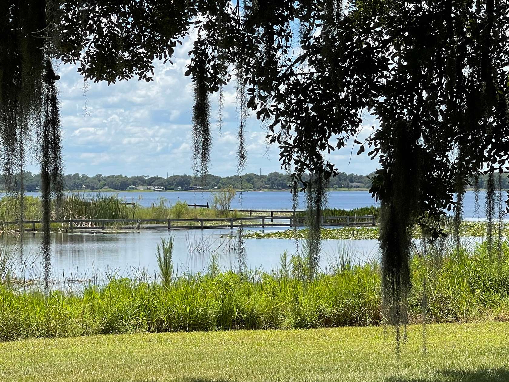 67.5 Acres of Recreational Land for Sale in Winter Haven, Florida