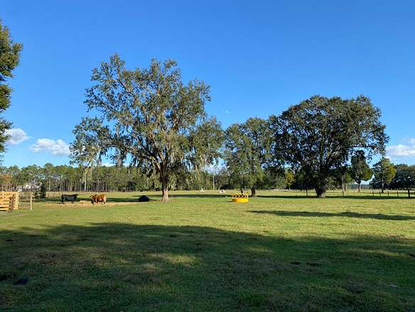 40 Acres of Land for Sale in Oxford, Florida