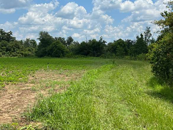 112 Acres of Recreational Land & Farm for Sale in Marianna, Florida