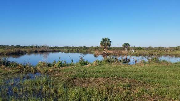 44 Acres of Land for Sale in Frostproof, Florida