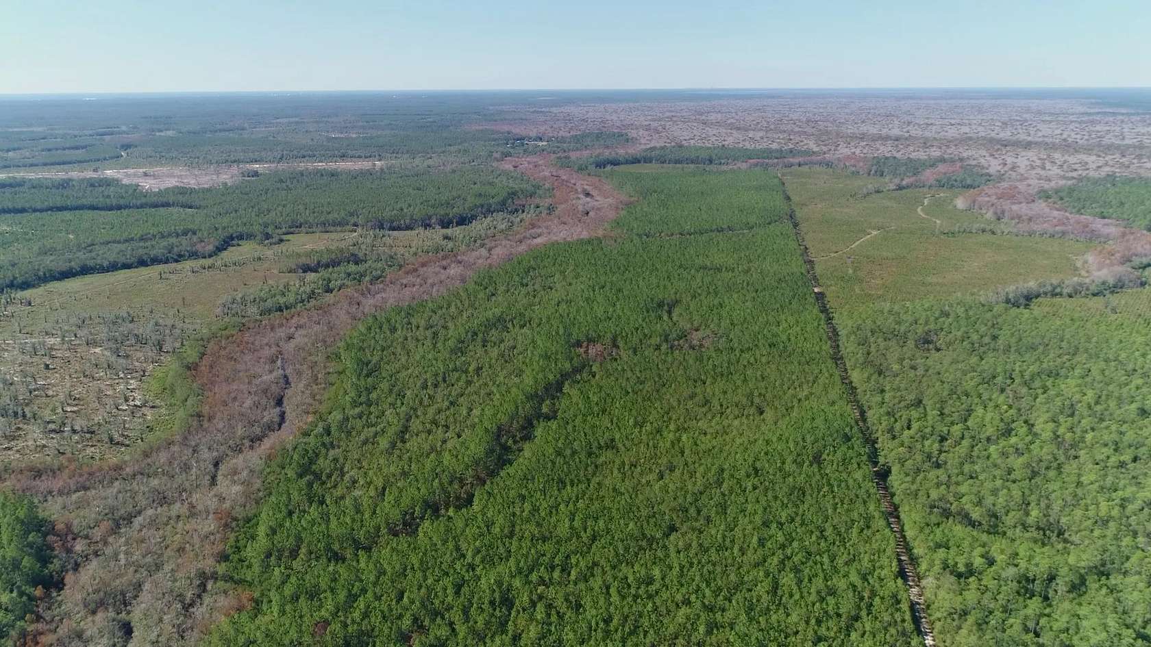 580 Acres of Land for Sale in Ebro, Florida