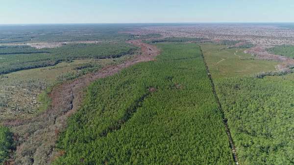580 Acres of Land for Sale in Ebro, Florida