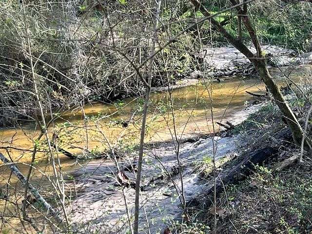 16.3 Acres of Land for Sale in Dothan, Alabama