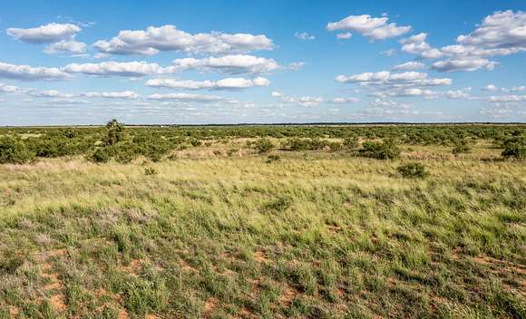 440 Acres of Land for Sale in Paducah, Texas