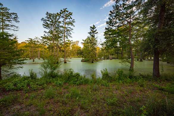 162 Acres of Recreational Land & Farm for Sale in Jefferson, Texas
