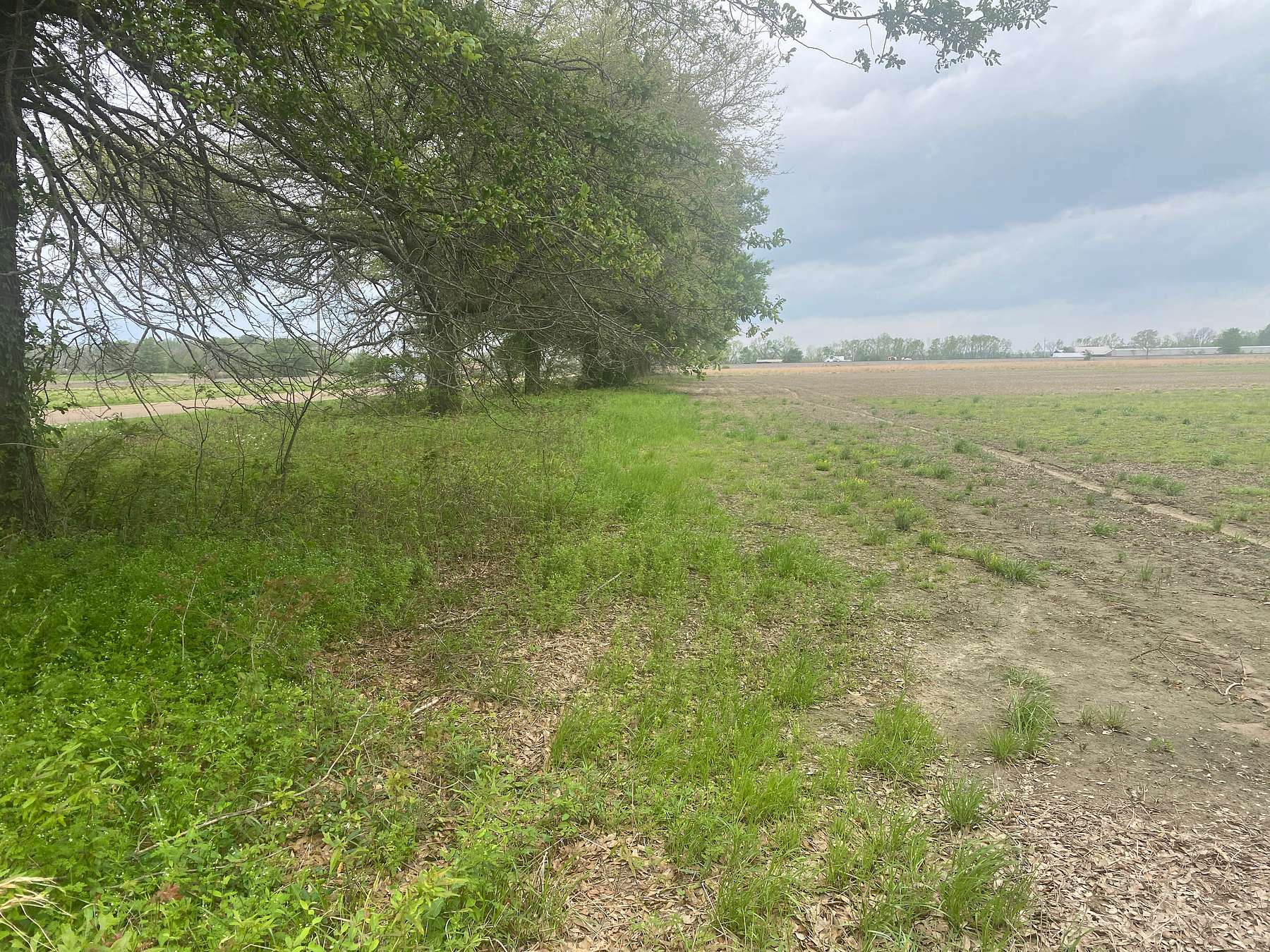 12 Acres of Recreational Land & Farm for Sale in Greenwood, Mississippi