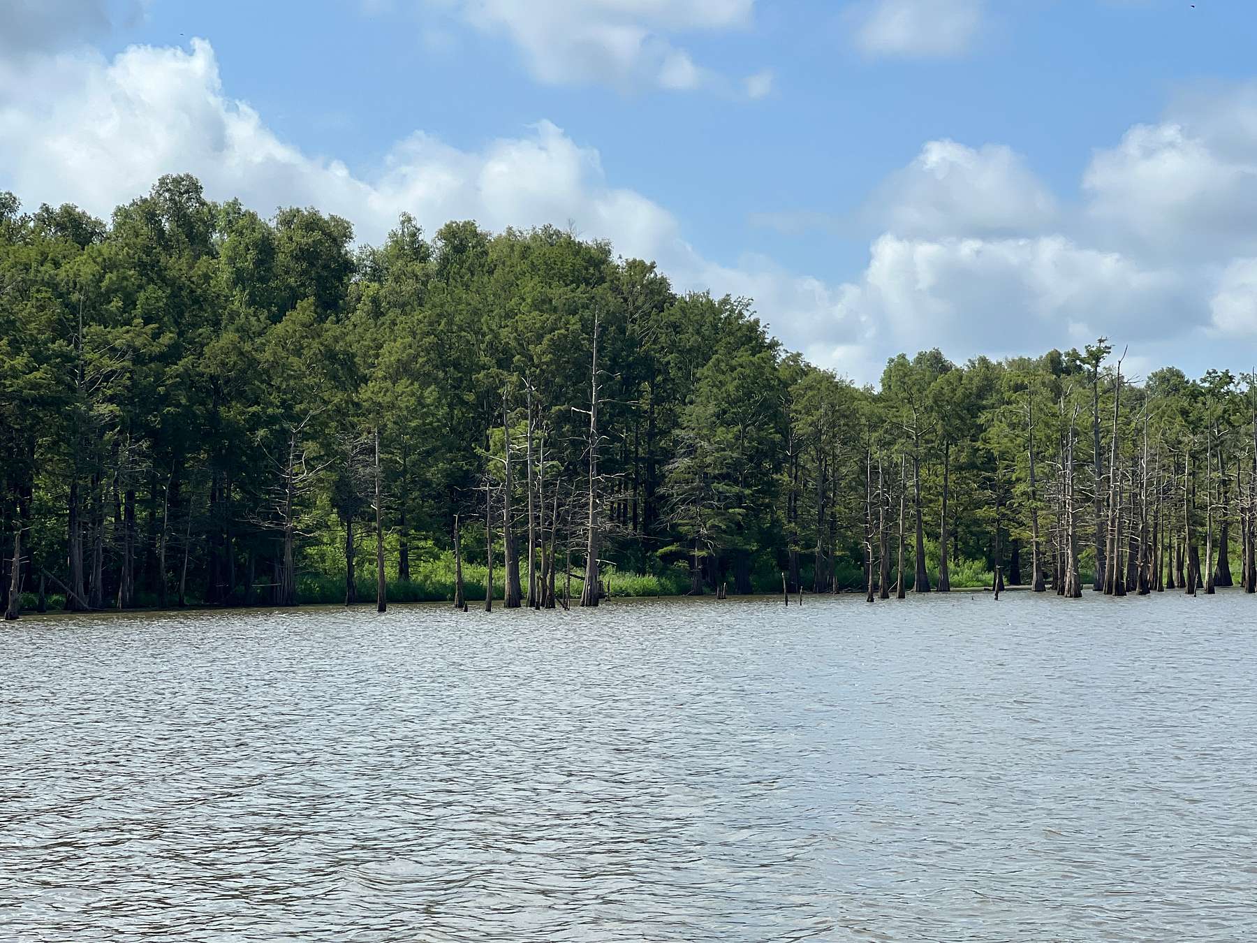135 Acres of Recreational Land for Sale in Fort Adams, Mississippi