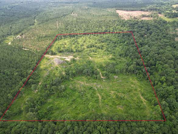 53 Acres of Recreational Land for Sale in Jena, Louisiana