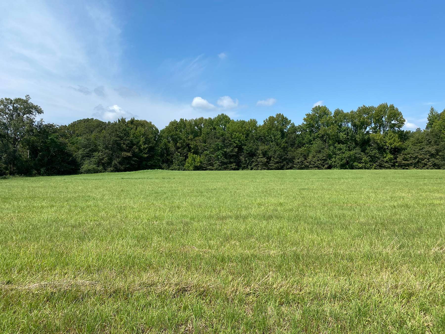 36.8 Acres of Recreational Land for Sale in Winnsboro, Louisiana