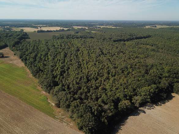 60.4 Acres of Recreational Land & Farm for Sale in Baskin, Louisiana