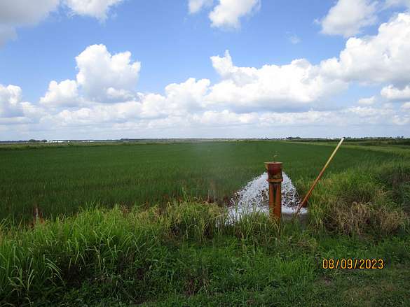 1,533 Acres of Recreational Land & Farm for Sale in Oberlin, Louisiana