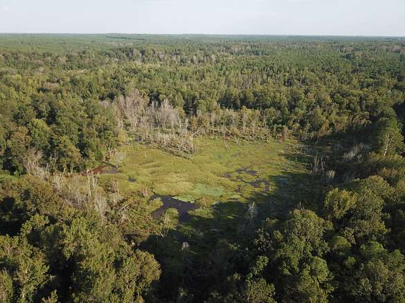 80 Acres of Recreational Land & Farm for Sale in Columbia, Louisiana