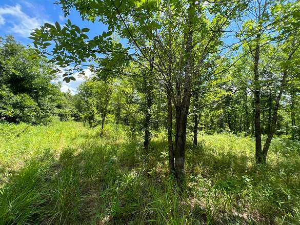 30 Acres of Recreational Land for Sale in Liddieville, Louisiana
