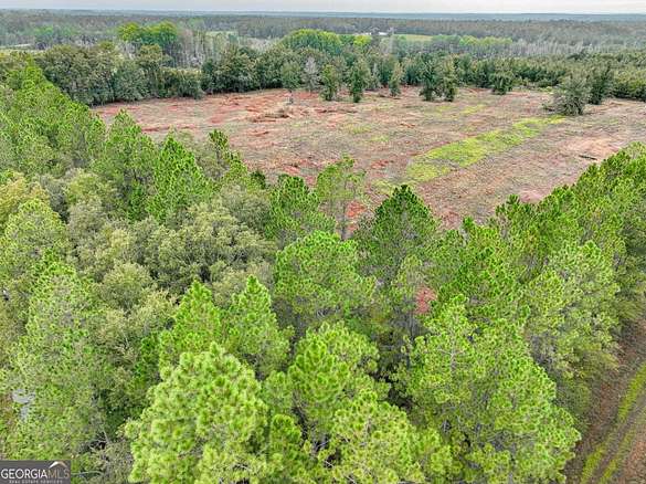 8 Acres of Residential Land for Sale in Odum, Georgia