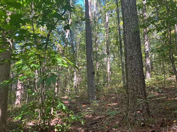 77 Acres of Recreational Land for Sale in Ashville, Alabama - LandSearch