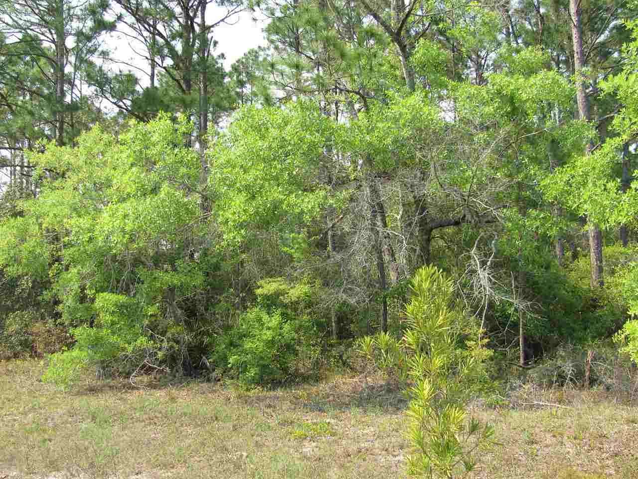 0.37 Acres of Land for Sale in Panacea, Florida