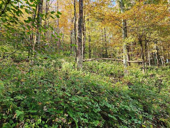 3.5 Acres of Residential Land for Sale in Harman, West Virginia