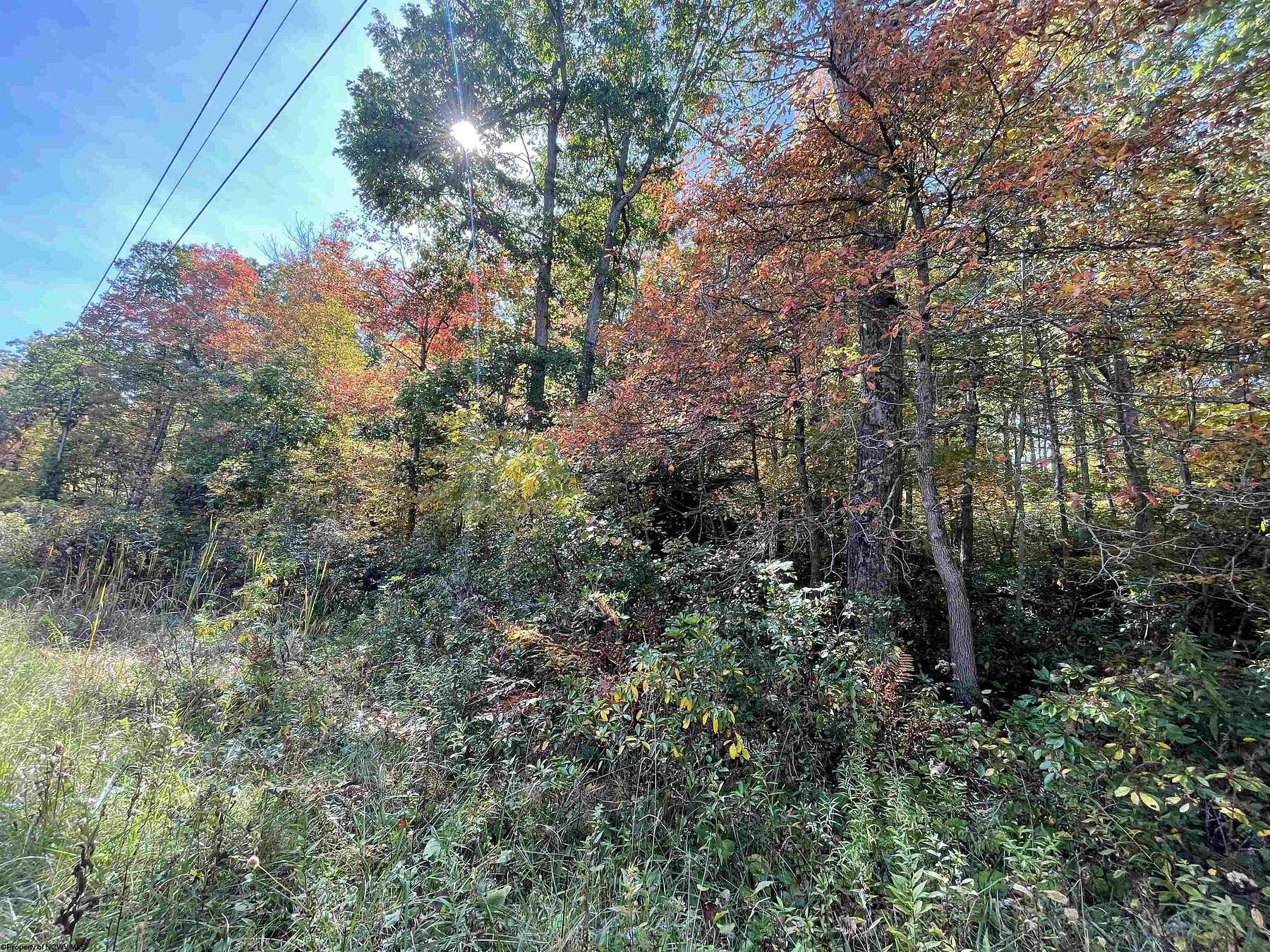 Residential Land for Sale in Terra Alta, West Virginia