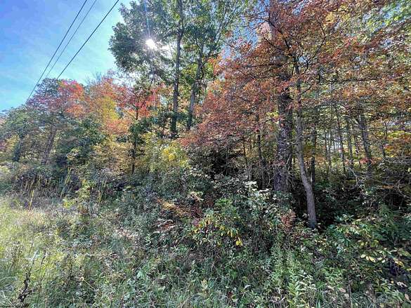 0.31 Acres of Residential Land for Sale in Terra Alta, West Virginia
