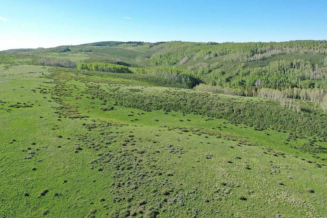 70,000 Acres of Land for Sale in Rifle, Colorado