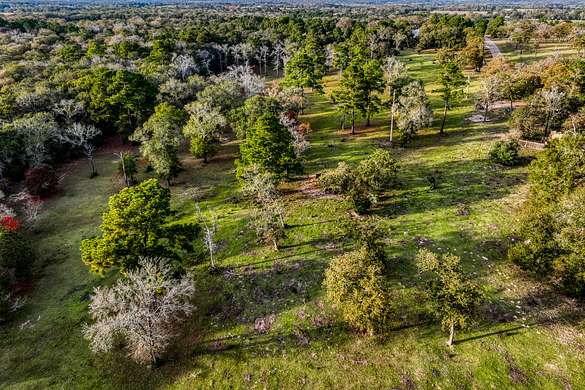 28.6 Acres of Recreational Land for Sale in Navasota, Texas
