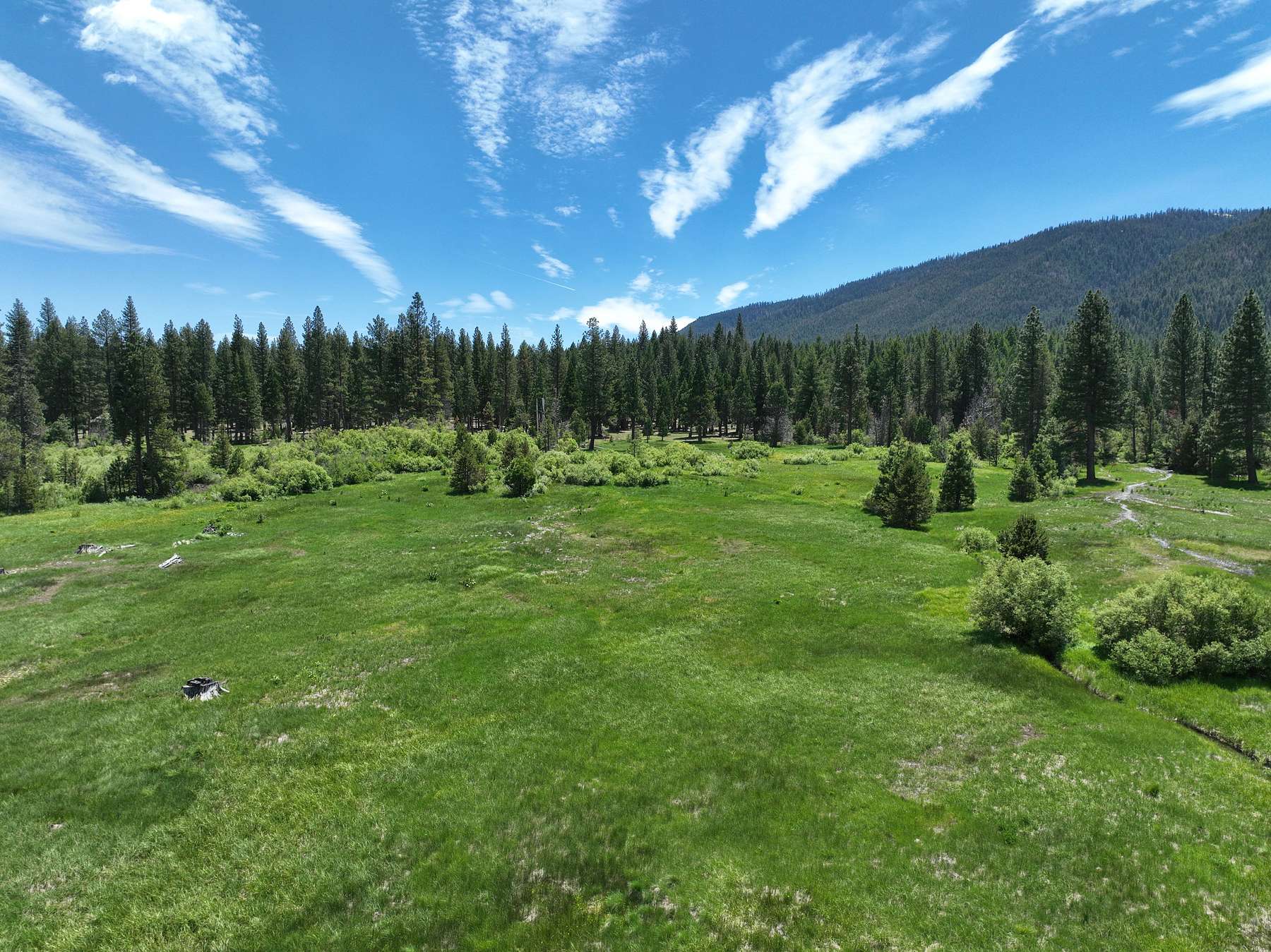 83 Acres of Improved Land for Sale in Clio, California