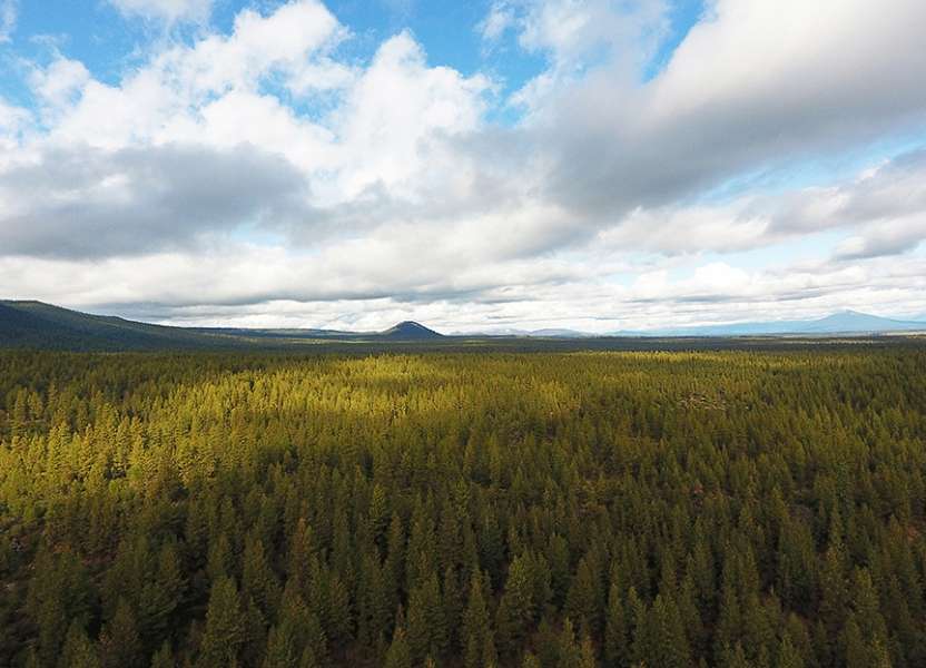 32,995 Acres of Land for Sale in Bend, Oregon