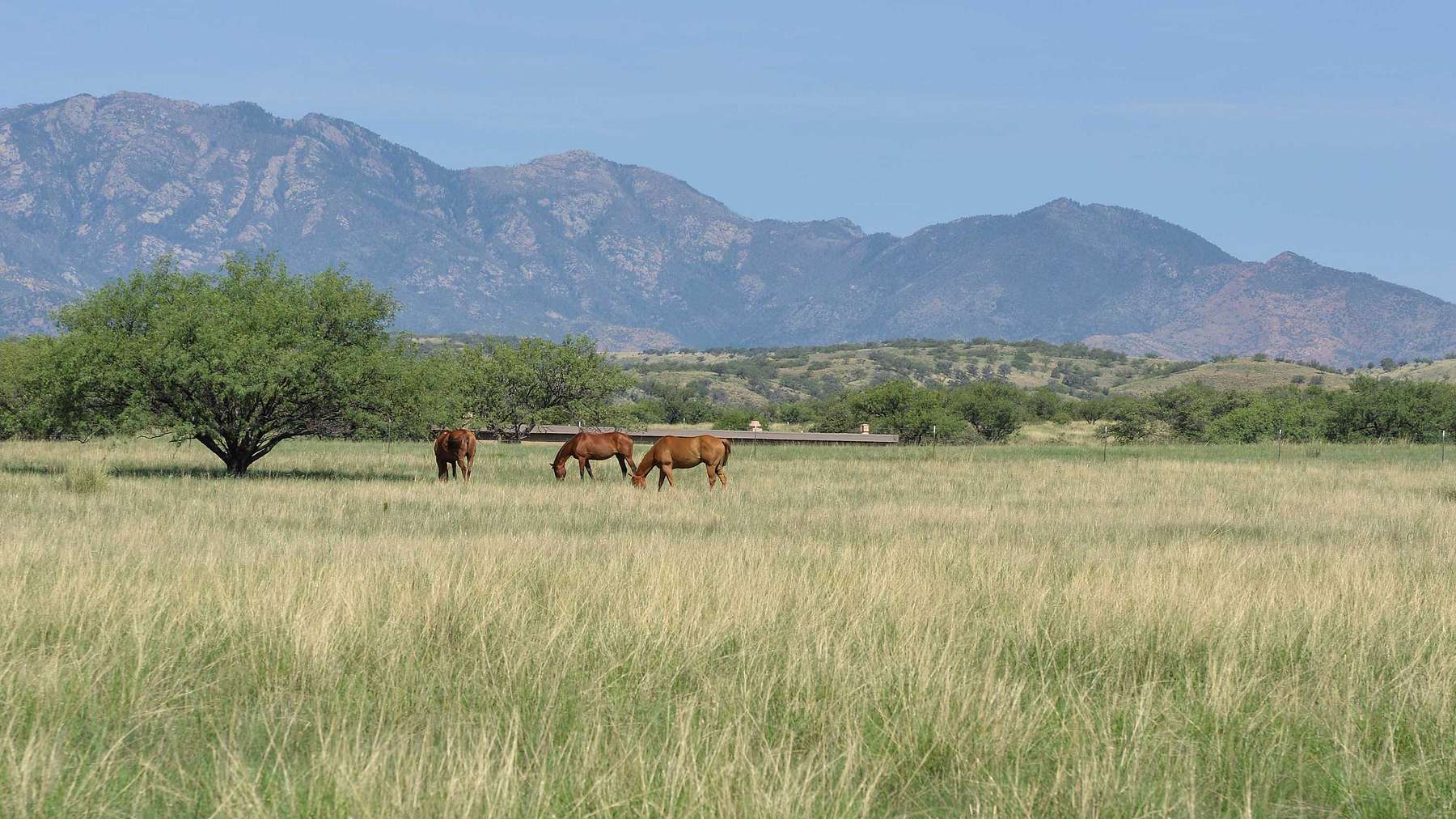 20,682 Acres of Improved Land for Sale in Sonoita, Arizona