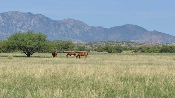 20,682 Acres of Land for Sale in Sonoita, Arizona