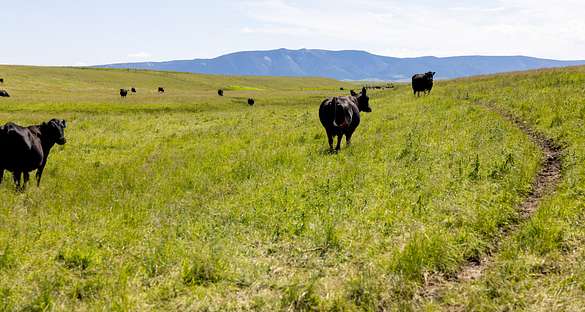 1,836 Acres of Recreational Land & Farm for Sale in Hobson, Montana