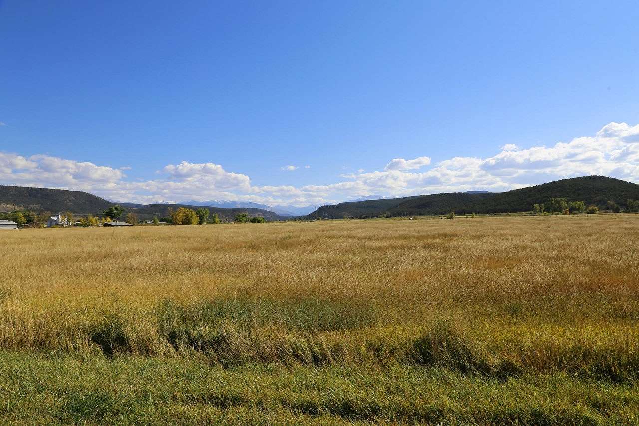57 Acres of Land for Sale in Colona, Colorado